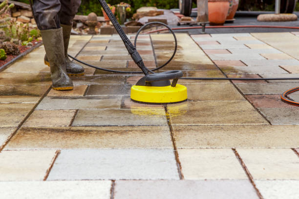 Animal Enclosure Cleaning in Debary, FL